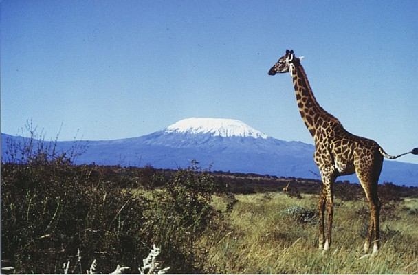 Kilimanjaro 2.jpg